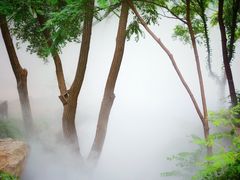 -北京西山国家森林公园