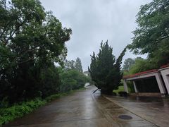 -昆明春城湖畔度假村