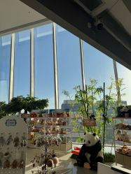 -IMON·HANSA潮玩玩偶毛绒玩具(通州万象汇店)