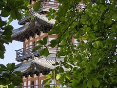 -牛腩之旅·牛腩牛杂煲(光启城美食城店)