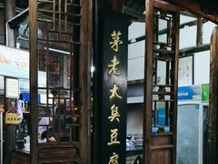 -茅老太臭豆腐