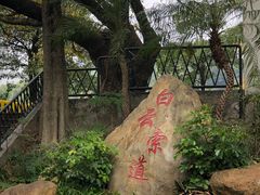 -白云山索道-售票处