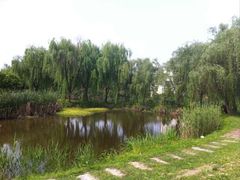iphone_upload_pic-锦江中华村农家乐饭庄