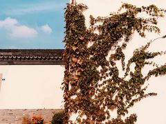 -青果巷历史文化街区