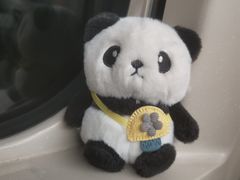 -叶记鲜鹅肠火锅城(聚丰锦绣盛世店)