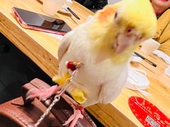 -盘飧市(春熙路店)