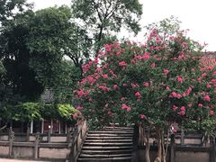 -文庙广场小吃一条街