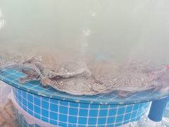 -蓝珊甄选海鲜自助·火锅大排档(近阿那亚店)