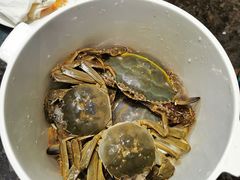 -川骄海鲜自助(河东店)