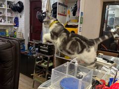 -百金通黄金回收首饰定制维修(珠江路总部)