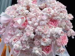 -拾花记花艺·求婚·订婚·生日布置(高新店)