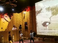 -珠海横琴国家地理探险家中心(创新方)