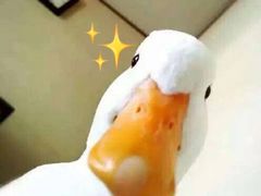 -海底捞火锅(九久奥特莱斯店)