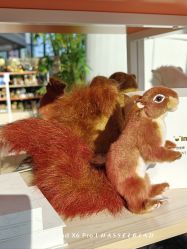 -IMON·HANSA潮玩玩偶毛绒玩具(通州万象汇店)