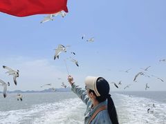 -海驴岛(荣成市)
