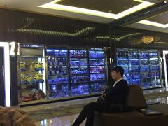 -UME影城(安贞DTS:X店)