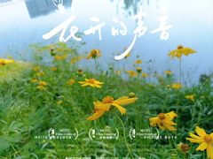 -金银湖国家城市湿地公园