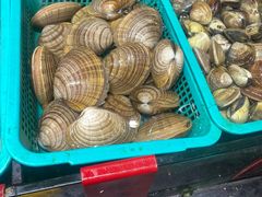 -海大大蒸汽海鲜餐厅·粤菜·特色小炒(欢乐颂店)