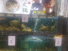 -宝燕壹号(徐汇店)