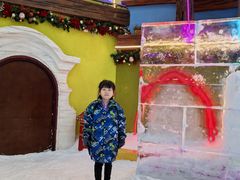 -世界之窗阿尔卑斯冰雪世界