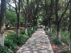 -白马涧龙池景区