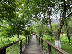 -沐仙湖湿地公园