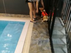 -Goku PET SHOP宠物视觉生活馆(双井店)