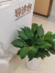 -南京康美美容医院·旗舰店