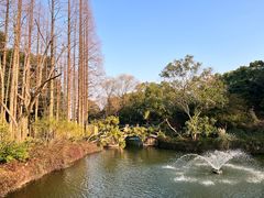 -上海醉白池公园