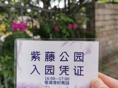 -嘉定紫藤园
