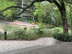 -香港大学