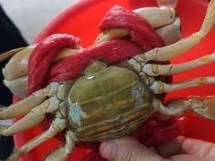-三辣馆