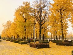 -百林公园-两江幸福广场