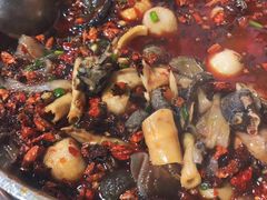 -黑竹香鸡(营和巷店)