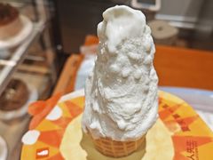 -野人先生现做冰淇淋(北京环宇荟店)