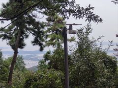 -惠山国家森林公园