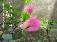 -长春观