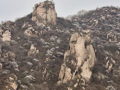 -大岭沟猕猴桃谷风景区