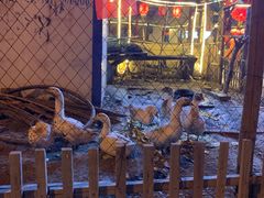 门面-鱼窝棚柴火铁锅炖(富山屯店)