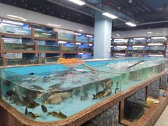 水产区-渔人湾码头海鲜市场负二楼