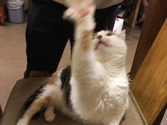 -天一朴素(武汉大学店)