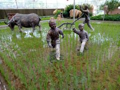 -广东茂名森林公园