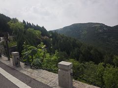 -佛慧山