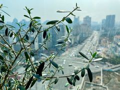 -帝京日语(春熙路旗舰校区)