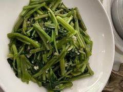 -丁老爷子苏香圆