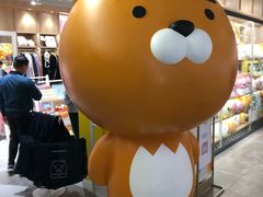 -KAKAO FRIENDS(弘大店)
