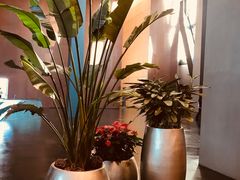 -中央广播电视总台(光华路办公区)