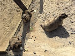 -茅山东方盐湖城景区