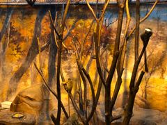 -泉城欧乐堡海洋极地世界