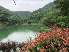-桃花岭景区